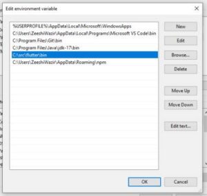 flutter bin path user environment variables