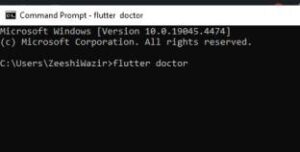 flutter doctor in cmd