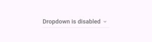 flutter dropdown disabled hint