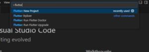 flutter new project in vs code