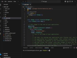 flutter sample app code in vs code